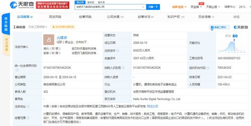 訊飛數(shù)碼注冊(cè)資本激增115.38%，軟硬件布局再提速